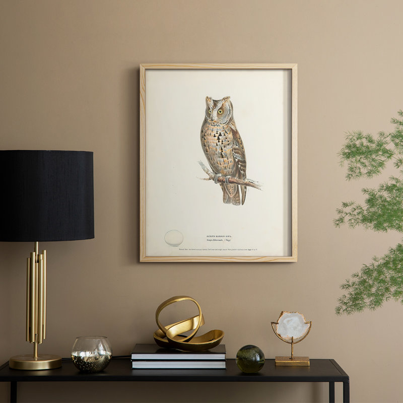 Reproduction encadrée Scops Earl Owl - bois massif, H 11 po x l 9 po