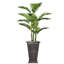 Palmier artificiel Panama en pot-1885545921