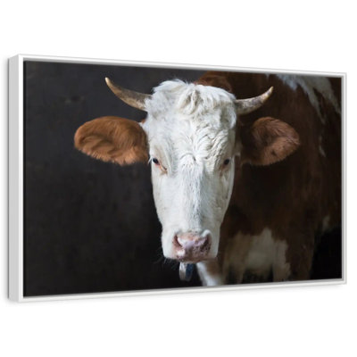 Visage de vache sérieux