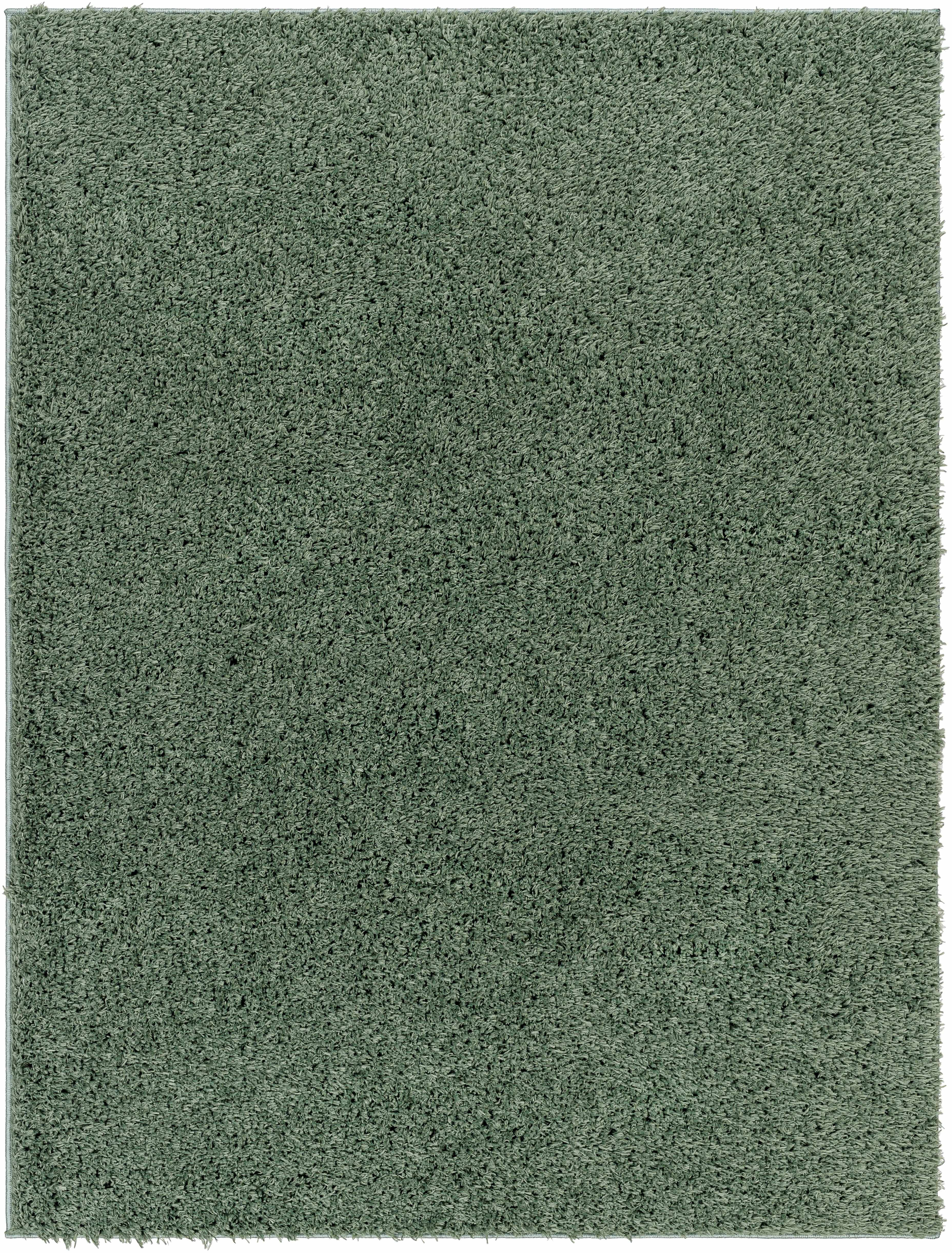 Ebern Designs Ozil Solid Color Machine Woven Polyester Area Rug in ...
