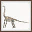 Silvio 'Brachiosaurus Skeleton' Framed Print-758241039
