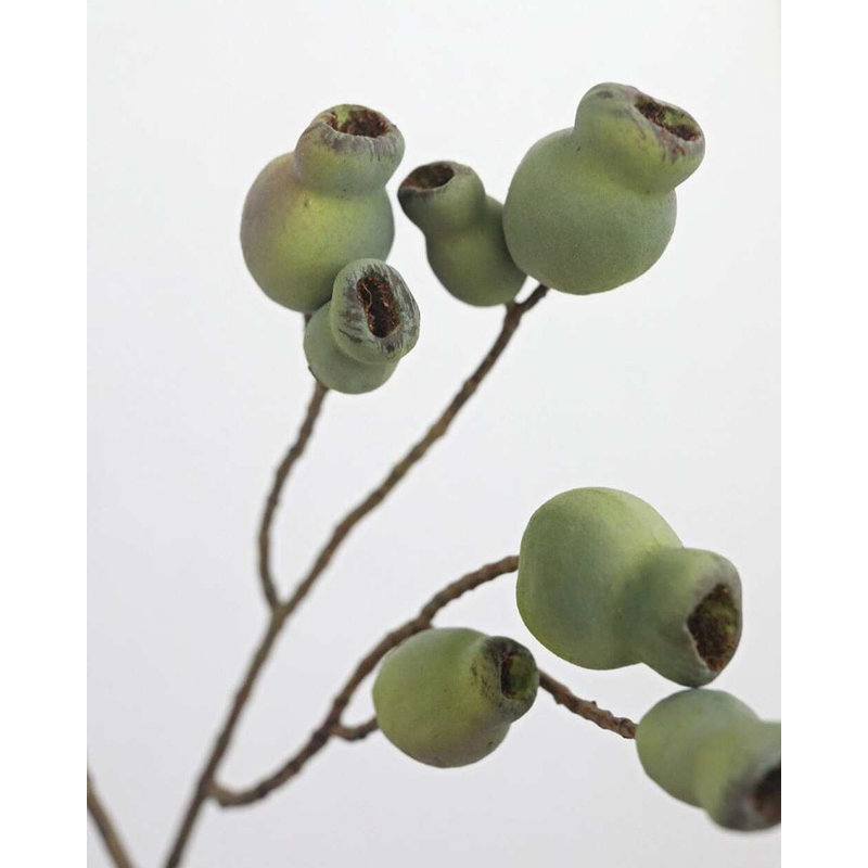Gousses d'eucalyptus artificielles 24,5 po