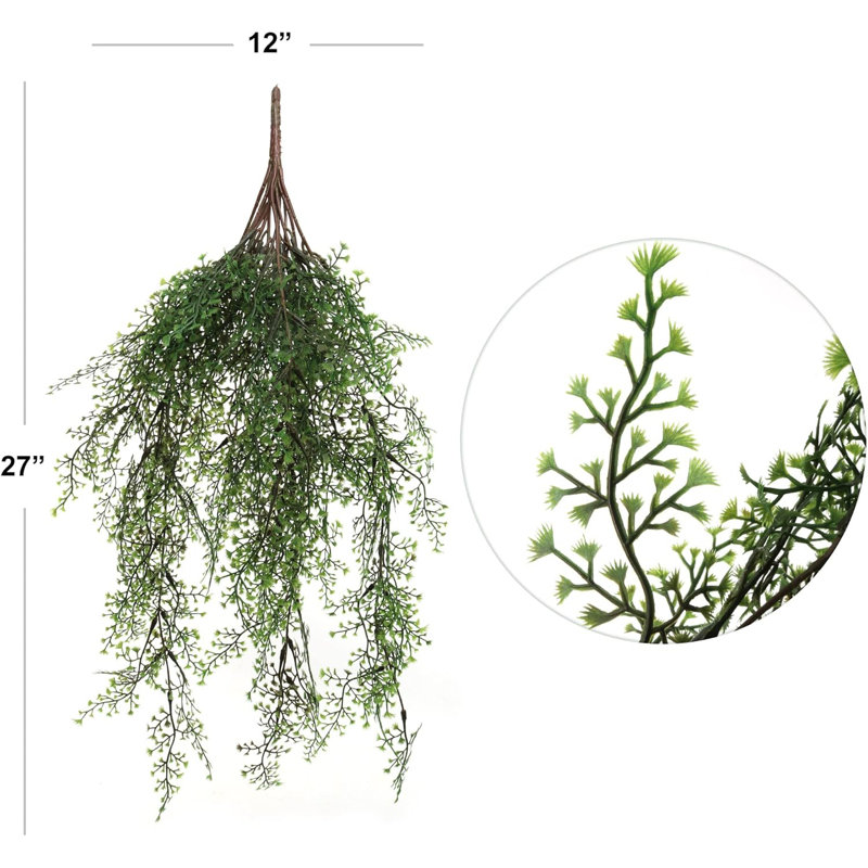 Ensemble de 12 plantes 12 pièces