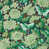 Emerald/Ink Black