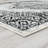 Delorme Oriental Indoor Rug