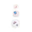 Décoration murale en bois massif rose en forme de cercle rose en 3 tailles, style moderne pour présenter des photos de couloir à souvenirs
