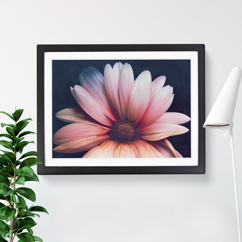Handsome Daisy Flower - Single Picture Frame Print, Black Framed, 25cm H x 34cm W x 2cm D