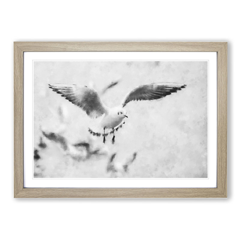 Seagull Birds - Picture Frame Graphic Art, Oak Framed, 36cm H x 48cm W x 2cm D