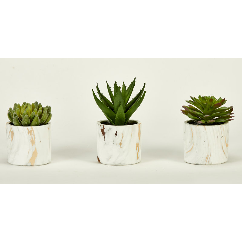 Ensemble de plantes grasses artificielles 3 pièces Urgeon