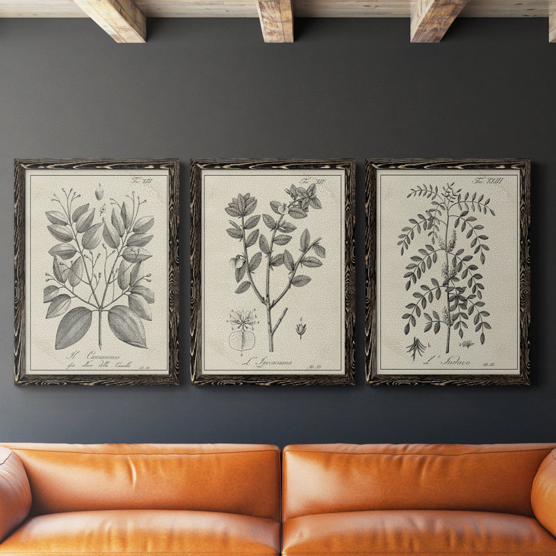 " Antique Black And White Botanical VII " 3 - Pieces, Black, 31.5" H x 70.5" W
