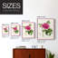 Impression encadrée PrettyPinkBotanicalsI-Premium - prête à être accrochée - aucun clou requis - aucun clou requis-1909328021-1909328020