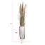 80 po Faux Pampas en pot