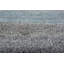 Contemporary Hand Knotted Wool Area Rug