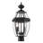 Allianora Lantern Head