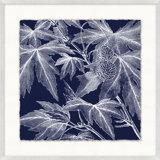 Transitional Leaf Composition On Navy 3 Print