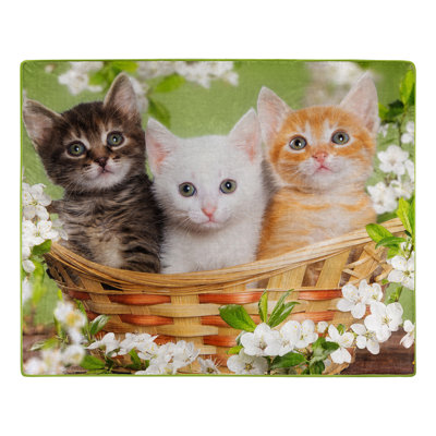 Basket of Kittens Raschel Throw Blanket, 50 x 60 inches