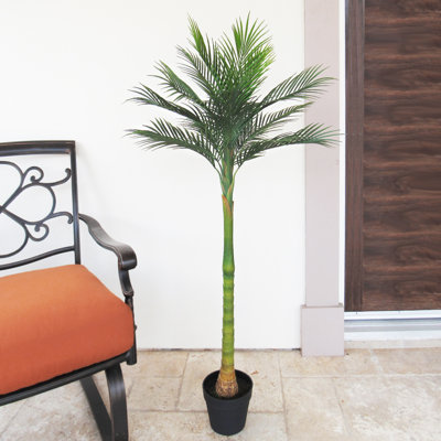 Aramier artificiel en pot 50 po