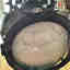 Customer photo 4 of 5