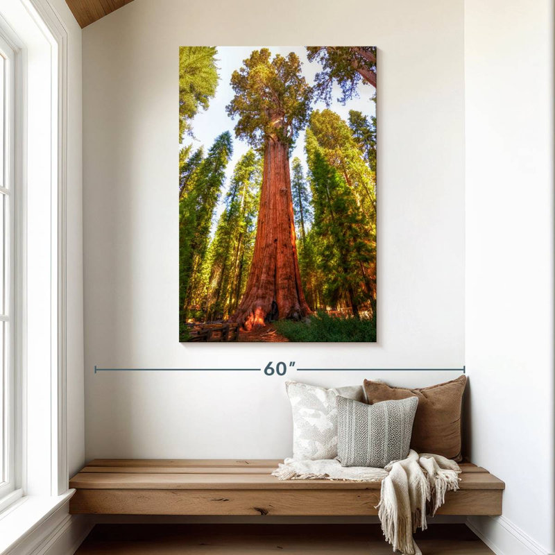 Harnek Redwood Tree Grove, 48" H x 32" W