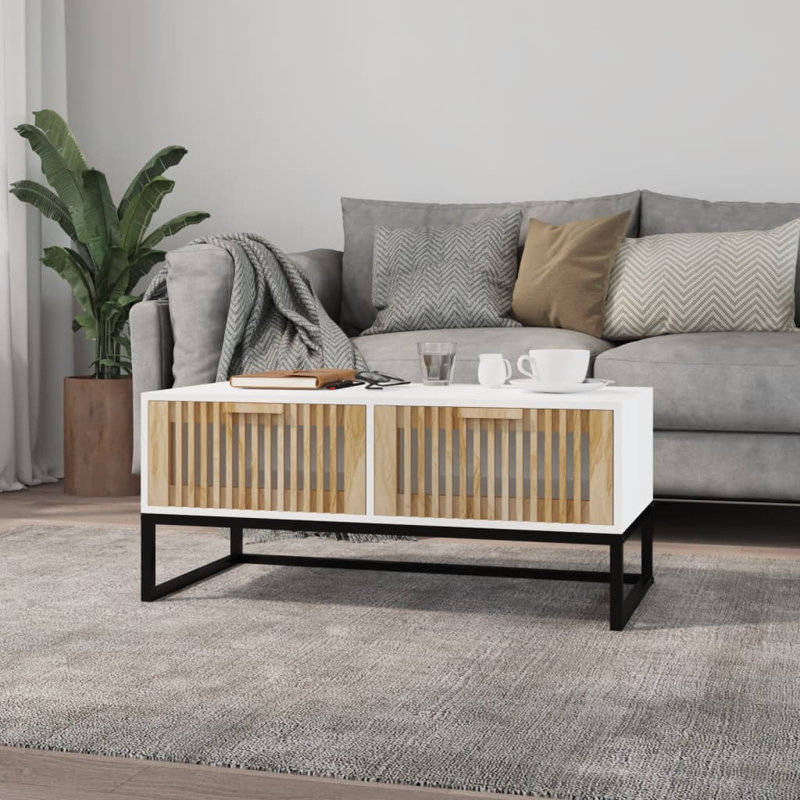 Rinki Solid Coffee Table with Storage, White