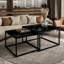 Sattley 2 Piece Coffee Table-999278278-999278296-993465170