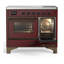 Majestic III Series 40 Inch Induction Range with 6 Induction Elements in Stainless Steel (Brass Trim)-1837201732-1837201735