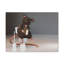 No Frame Print on Canvas-847448978
