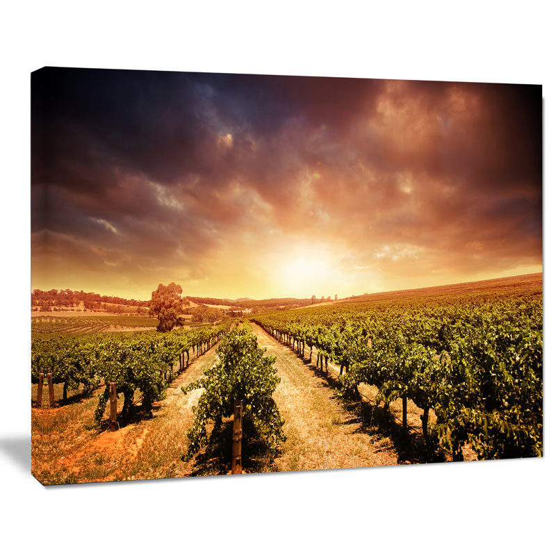 Stormy Sunset Vineyard Landscape Canvas Art, 32" x 16"
