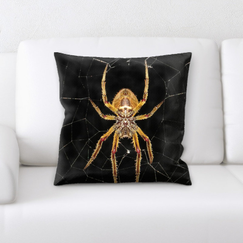 Coussin d’insectes