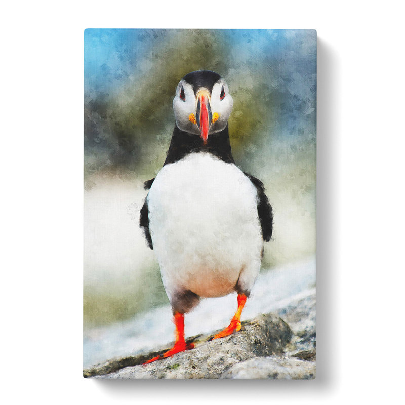 Lone Atlantic Puffin - Wrapped Canvas Print, 60cm H x 40cm W x 3cm D