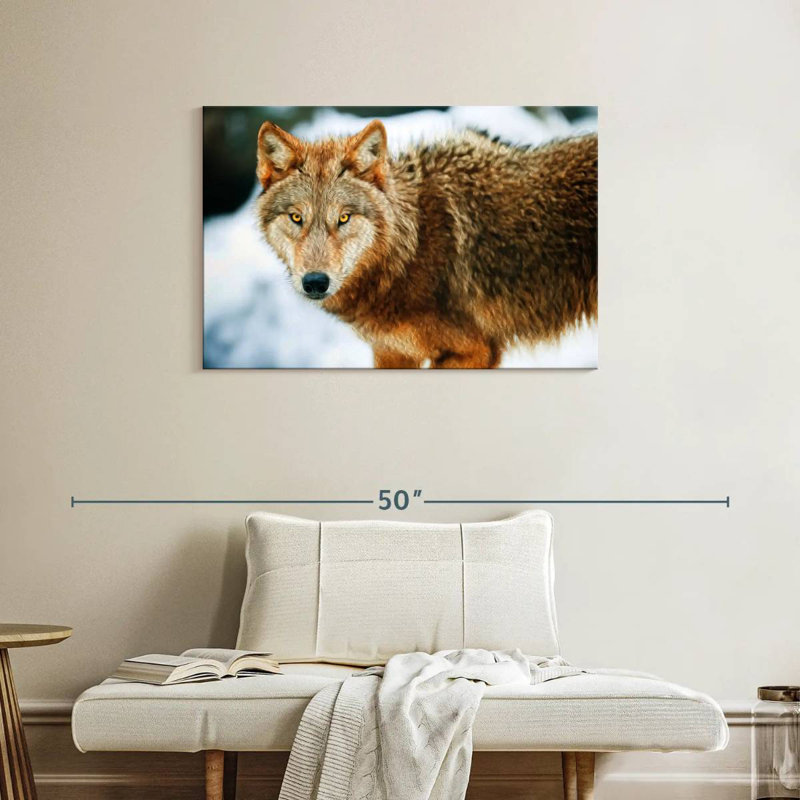 Brampt Brown Wolf, 24" H x 36" W