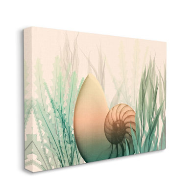 « ocean coquillage algues design » par albert koetsier,-impression sur image