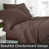 Brun chocolat est en rupture de stock