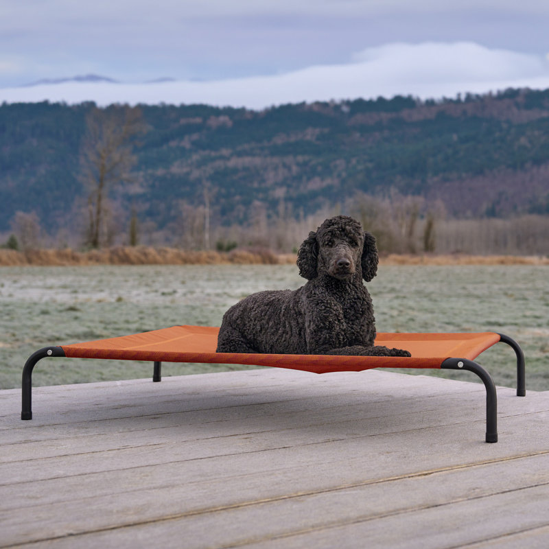 Elevated Cot Pet Bed, Red, 8" H x 36" W x 49.5" D
