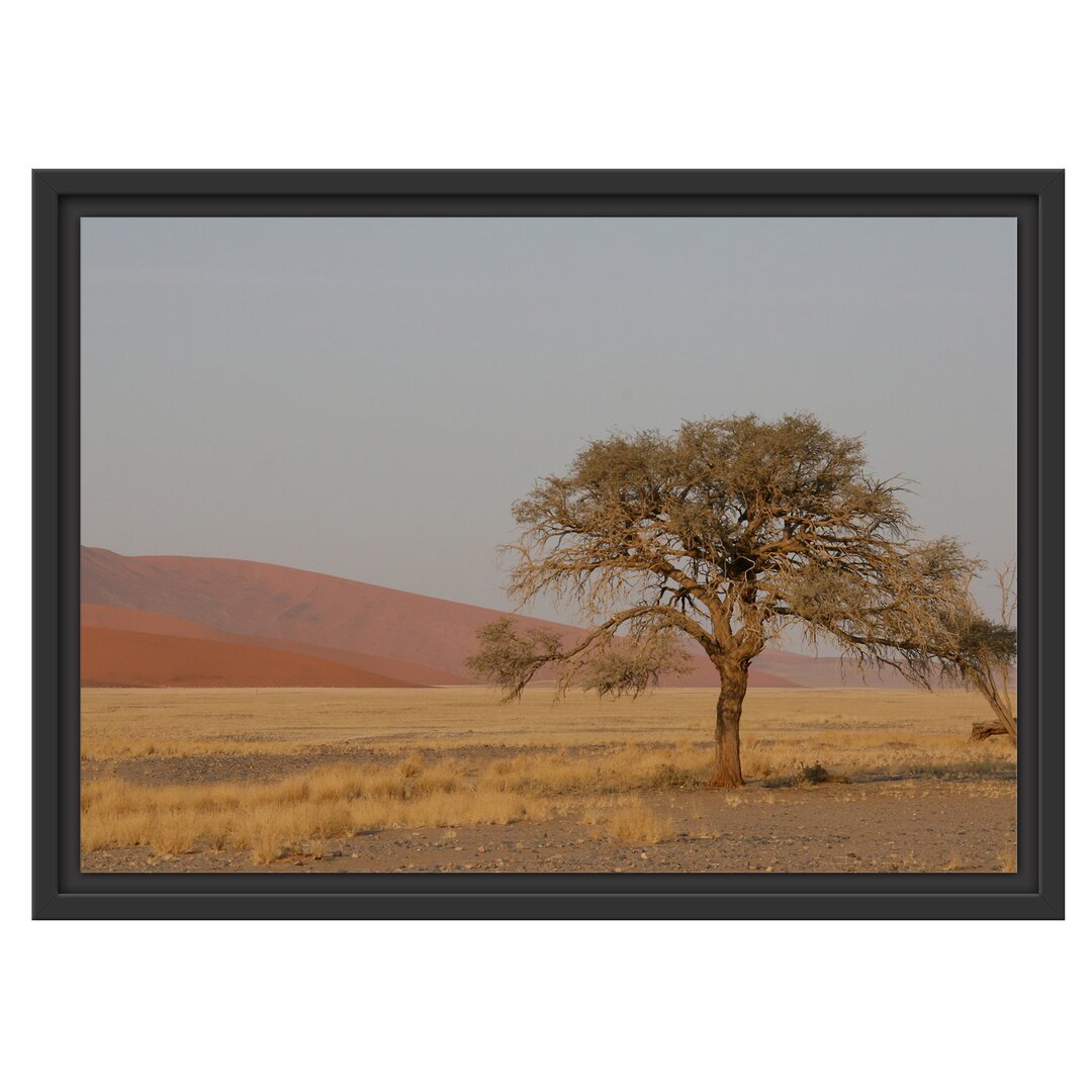 Gerahmtes Wandbild einzelner Baum in Wüste