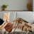 Throw Blanket-545710404