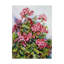 Rouge géranium-impression sur toile tendue Joanne Porter-27486745