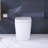 Smart Toilet-107397636