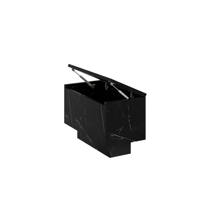 Coffee Table Caoilainn with Storage Compartments, 40cm H x 30cm L x 60cm W, Black