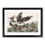 Virginia Partridges by John Audubon - Picture Frame Painting Print-55605595-55605600