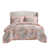 Rose multicolore n'est pas disponible
