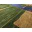 Hand-Knotted High-Quality Green, Blue, and Yellow Area Rug