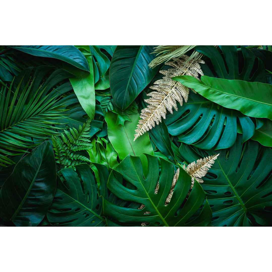 Closeup Nature View Of Palms And Monstera von Thanabodin Jittrong - Leinwanddrucke