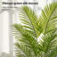 180cm Plant