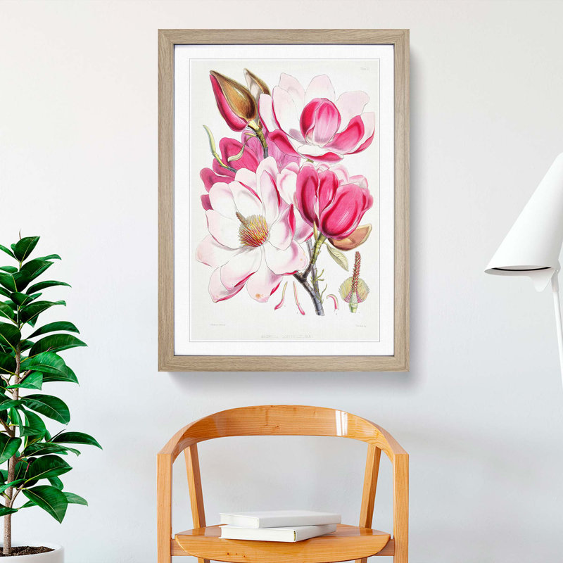 Himalayan Magnolia Flowers by W. H. Fitch - Picture Frame Painting Print, 36cm H x 27cm W x 2cm D, Oak Framed