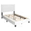 Tabac Defelice Elegant Infi-1090555258-1084691796