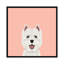 Highland Terrier, impression sur toile tendue-19741839-74755568-74755569