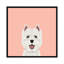 Highland Terrier, impression sur toile tendue-19741840-74755568-74755569
