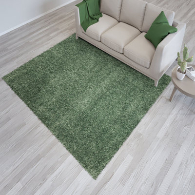 Oslo Mint Shaggy Area Rug – Soft Polyester Carpet for Living Room & Bedroom, Hallway Runner & Mat