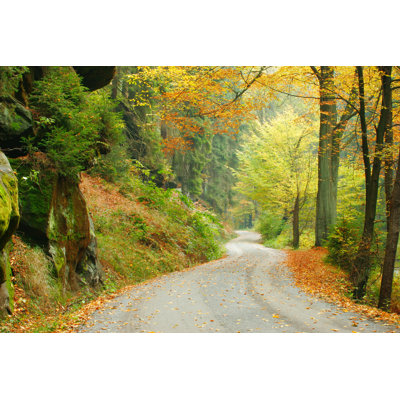 Forest Road in Autumn V par Avtg